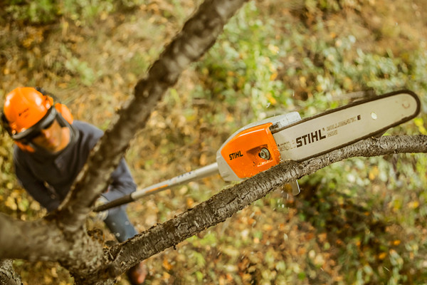 Stihl Pole Pruners
