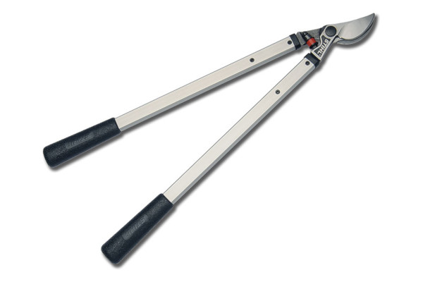 Stihl PL 10 Telescopic Pruner