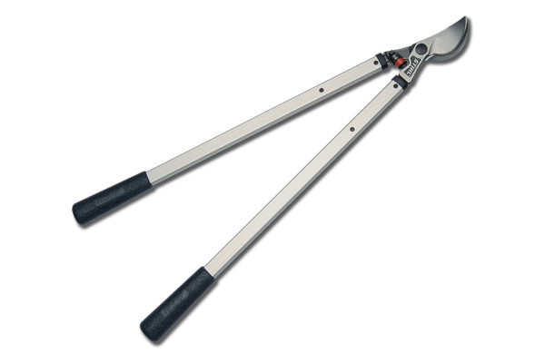 Stihl PL 30 Telescopic Pruner
