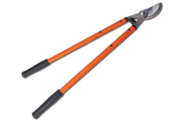 Stihl PL 5 Telescopic Pruner